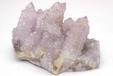 Large, Cactus Quartz (Amethyst) Crystal Cluster - South Africa #206118-3